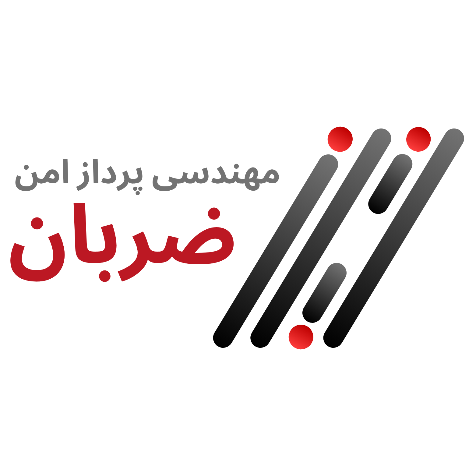لوگوی مهندسی پرداز امن ضربان